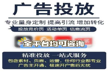 SEM搜索引擎优化：成功案例解析